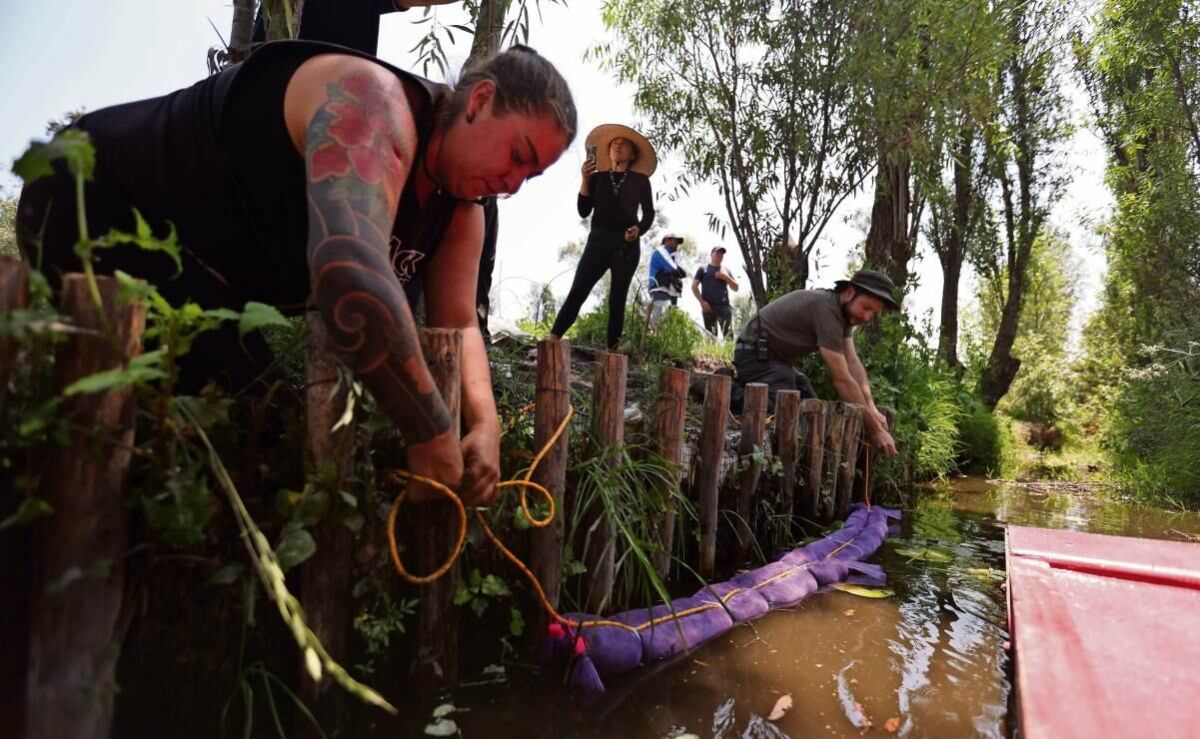 Usan-cabello-humano-para-limpiar-los-canales-de-Xochimilco