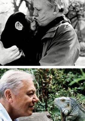 David-Attenborough-celebra-su-centenario-el-8-de-mayo-de-2026