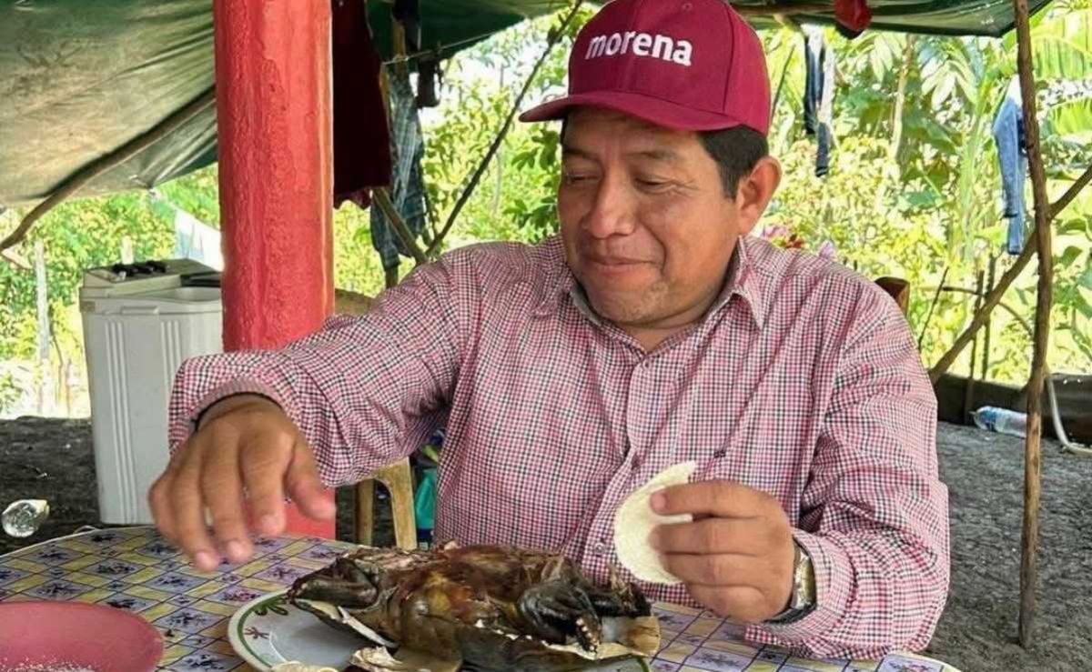 Profepa-investiga-a-dirigente-de-Morena-en-Macuspana-por-presumir-consumo-de-tortuga-guao