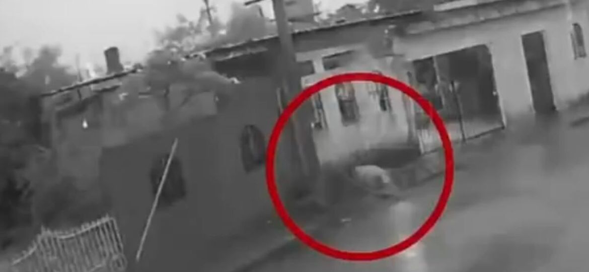 Muere-perrito-electrocutado-por-un-cable-en-calles-de-Merida
