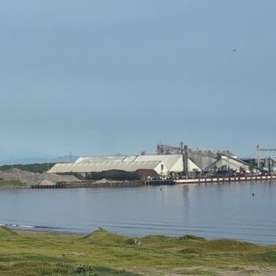 Organizaciones-denuncian-danos-al-arrecife-La-Gallega-por-obras-portuarias-en-Veracruz
